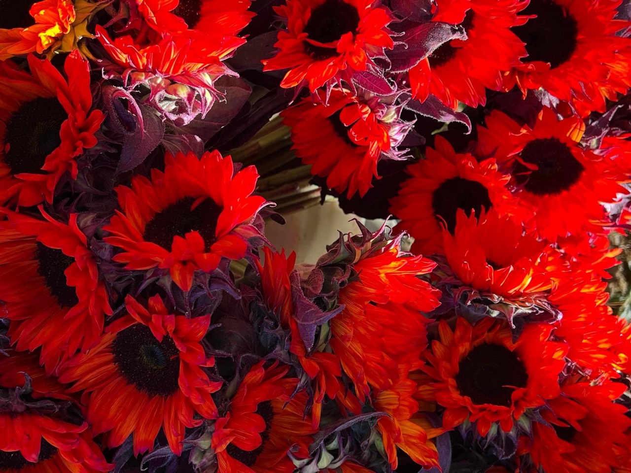 KHI NÀO THÌ NGHI NGỜ BỊ BỆNH CƯỜM KHÔ?